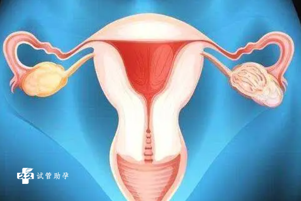  月经后子宫内膜厚度超过10mm正常吗？