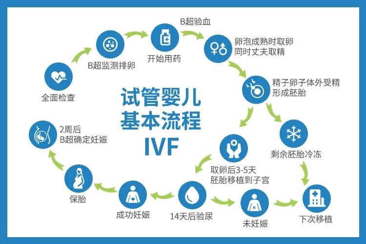 试管婴儿的具体流程由哪些方面组成？