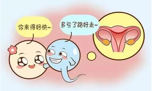 子宫内膜厚度多少才是正常？医生：达到这个范围，最容易好孕