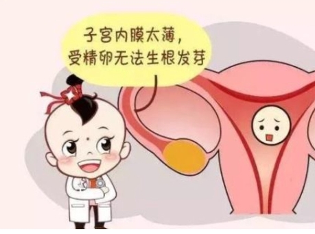 子宫内膜薄，怀孕难？别怕这里有解决办法！