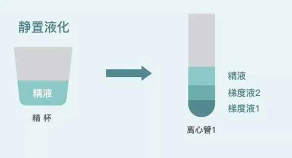 洗精技术优劣势分析，更好地解决你的精子问题。