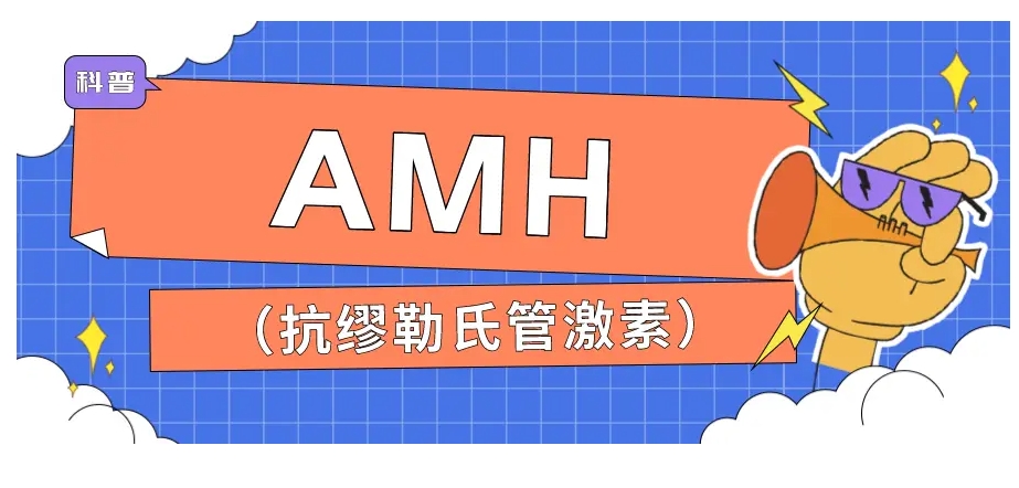 amh检查什么