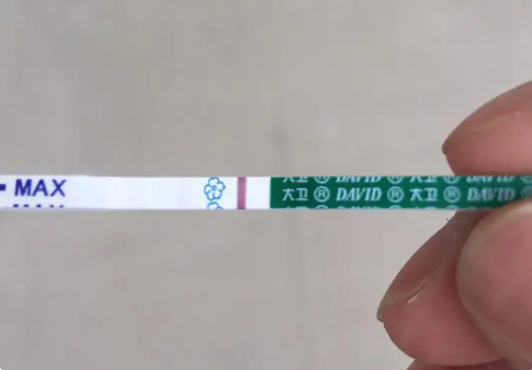 试管移植第13天突然又测不出怀孕现象了是怎么回事？