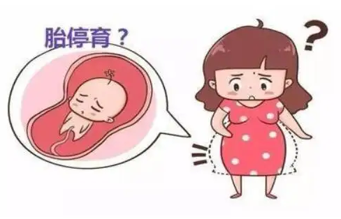 试管婴儿费用