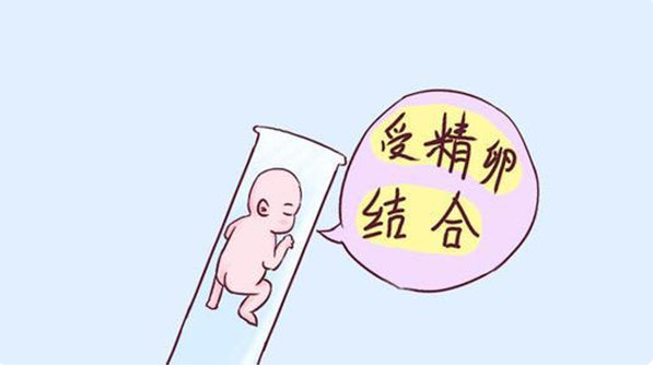 无法自然受孕可以通过试管婴儿怀孕生子吗？