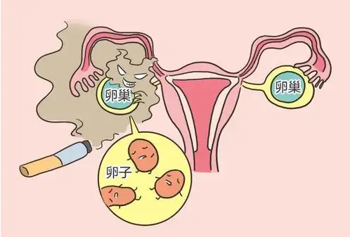 取卵半个月坐着右侧酸痛，可能跟这些原因有关