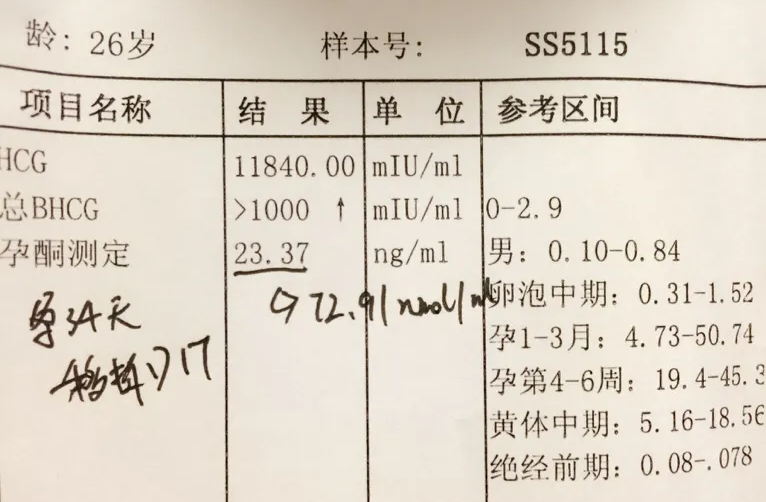 这3招调节方法，能让试管移植后hcg翻倍