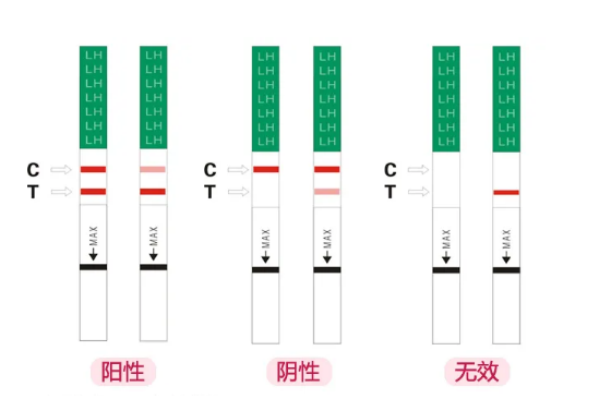 试管冻胚移植多少天内尿检才能判断是否成功？