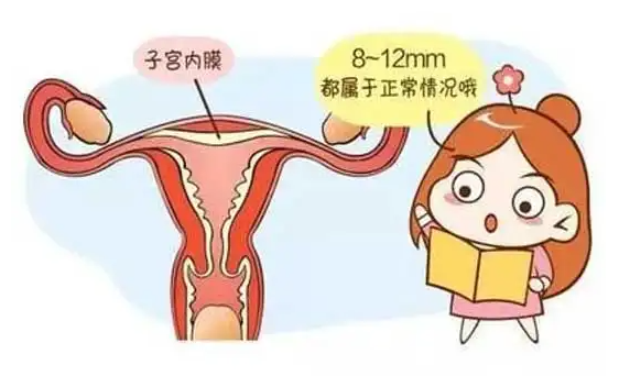 试管婴儿费用