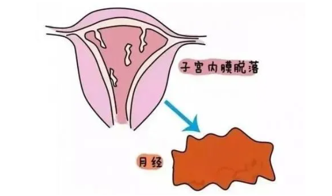 子宫内膜薄能不能怀孕？